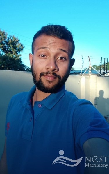 POULO DAVIS